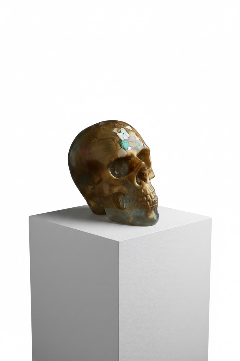 Shellworn