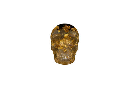 Single Skull Fading Into Darkness